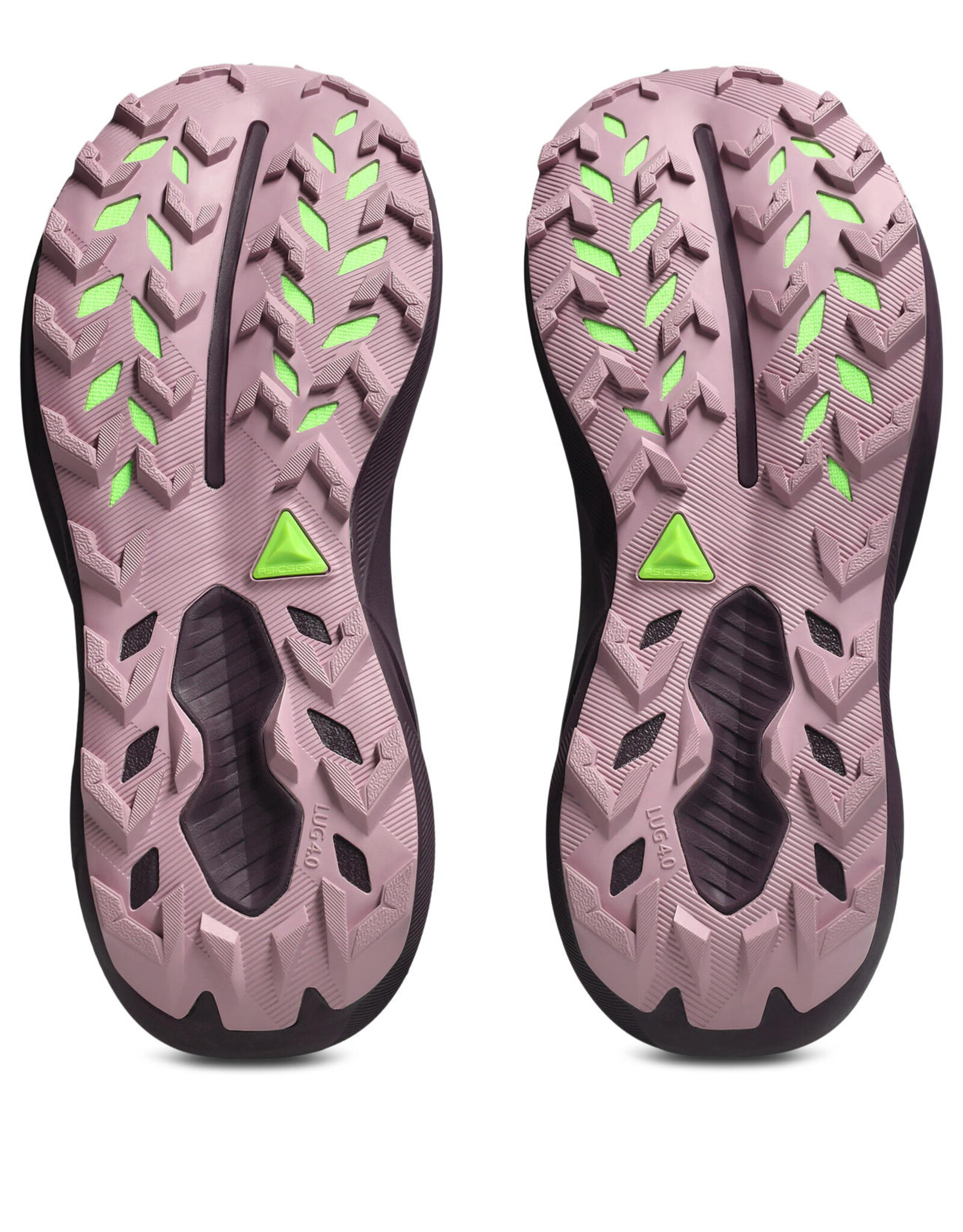 Asics TRABUCO 14 GTX-Dames-TARO PURPLE/DARK AUBERGINE