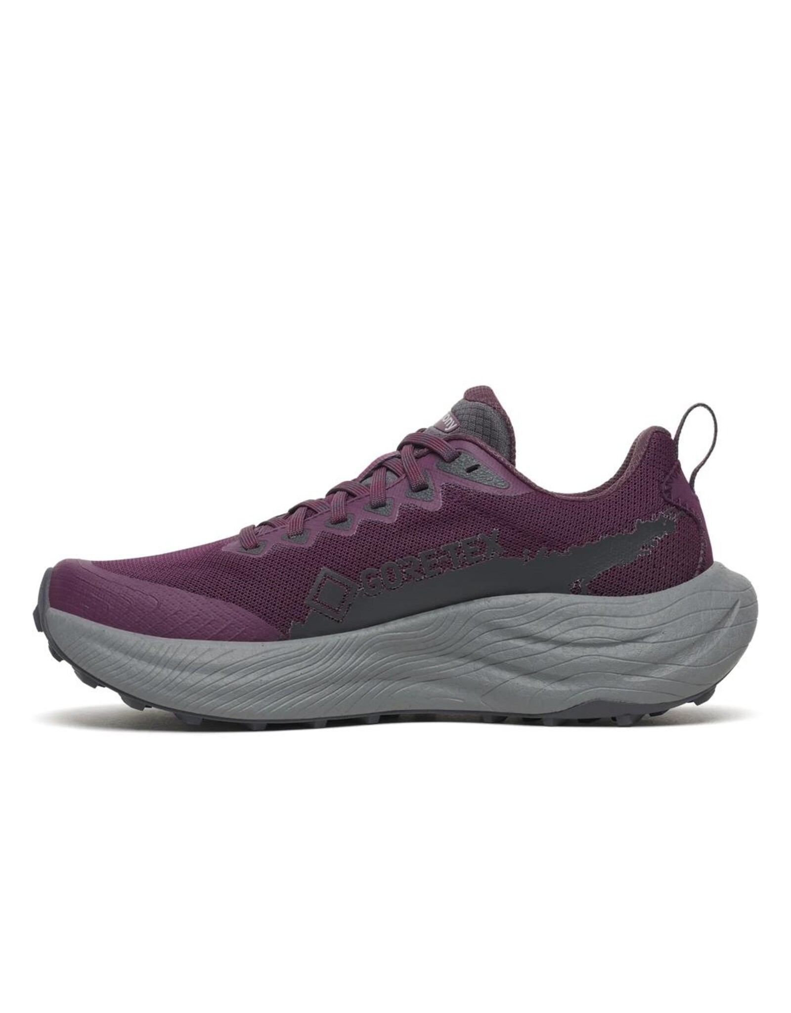 Saucony RIDE TR3 GTX-Dames-EGGPLANT/EBONY