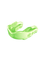 Brabo BP8030 SD MG Gel Max FLURO Green (per 6)