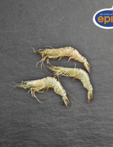  GAMBA MET KOP 13/15 // PER DOOSJE 800GR