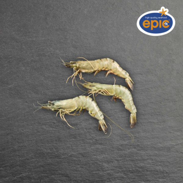 GAMBA MET KOP 13/15 // PER DOOSJE 800GR