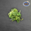 ZEEWIERSALADE WAKAME  - PER 250GRAM