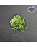  ZEEWIERSALADE WAKAME  - PER 250GRAM