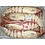 REUZE GAMBA'S MET KOP 2/4 // 800GRAM