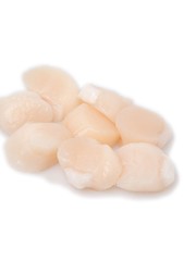  COQUILLESVLEES - PER STUK