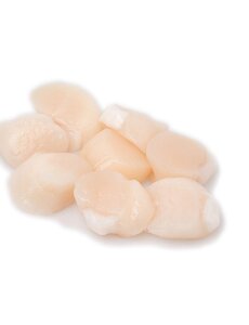  COQUILLESVLEES - PER STUK