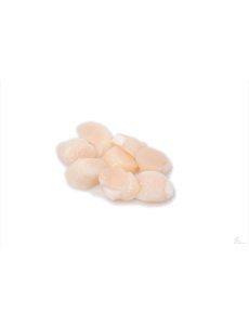  COQUILLESVLEES - PER STUK