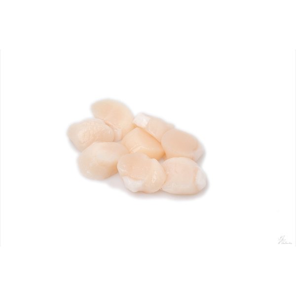 COQUILLESVLEES - PER STUK