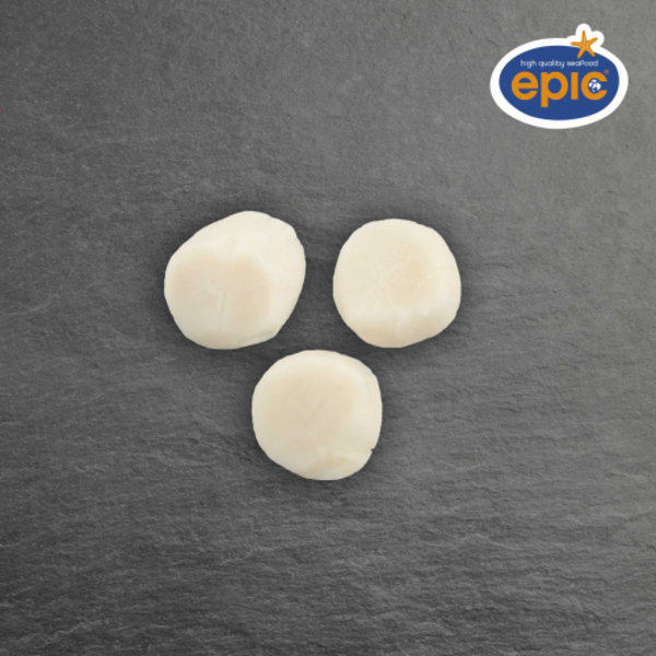 COQUILLESVLEES 10/20 - PER ZAK 800GR