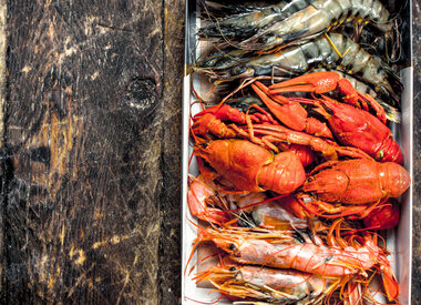 DIEPGEVOREN VISPRODUCTEN