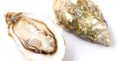 OESTERS & ZEEGROENTE