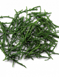  ZEEKRAAL - PER 100GRAM