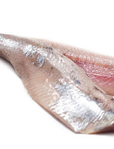  HOLLANDSE MAATJES HANDGEKUIST - PER 10STUKS