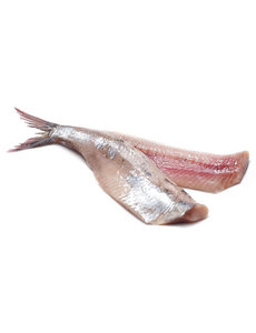  HOLLANDSE MAATJES HANDGEKUIST - PER 10STUKS