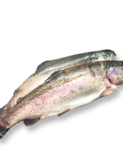  FOREL 300/400GRAM GEKUIST - PER STUK