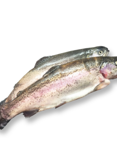  FOREL 300/400GRAM GEKUIST - PER STUK