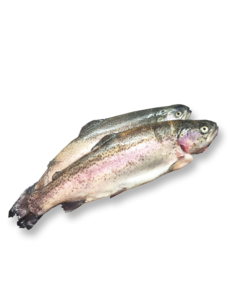  FOREL 300/400GRAM GEKUIST - PER STUK