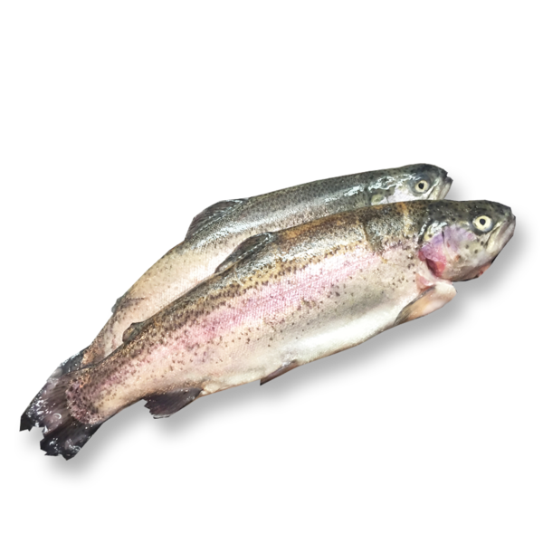 FOREL 300/400GRAM GEKUIST - PER STUK