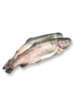  FOREL 300/400GRAM GEKUIST - PER STUK