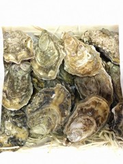  GILLARDEAU OESTER N°3 - PER STUK