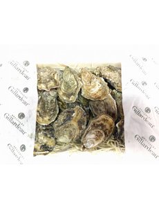  GILLARDEAU OESTER N°3 - PER STUK