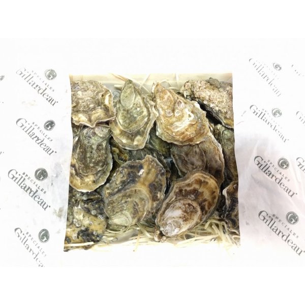 GILLARDEAU OESTER N°3 - PER STUK