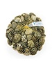  VONGOLE - PER NETJE 1KG