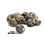 VONGOLE - PER NETJE 1KG
