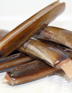  SCHEERMESSEN - PER NETJE 1KG