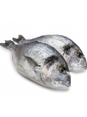  DORADE ROYALE 400/600GRAM - PER STUK
