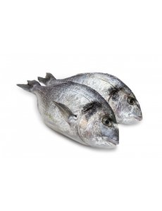  DORADE ROYALE 400/600GRAM - PER STUK