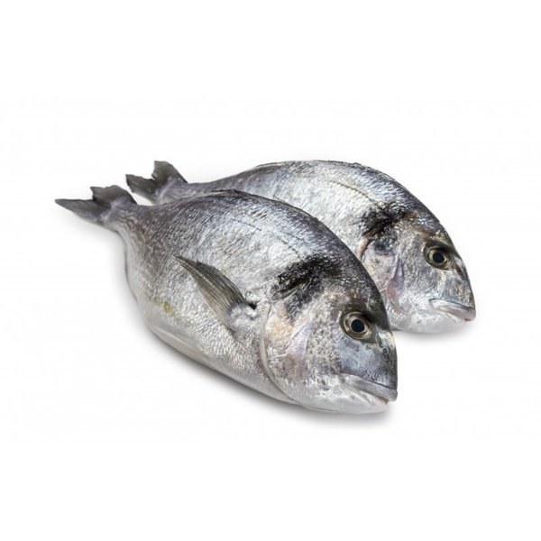 DORADE ROYALE 400/600GRAM - PER STUK