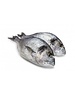  DORADE ROYALE 400/600GRAM - PER STUK