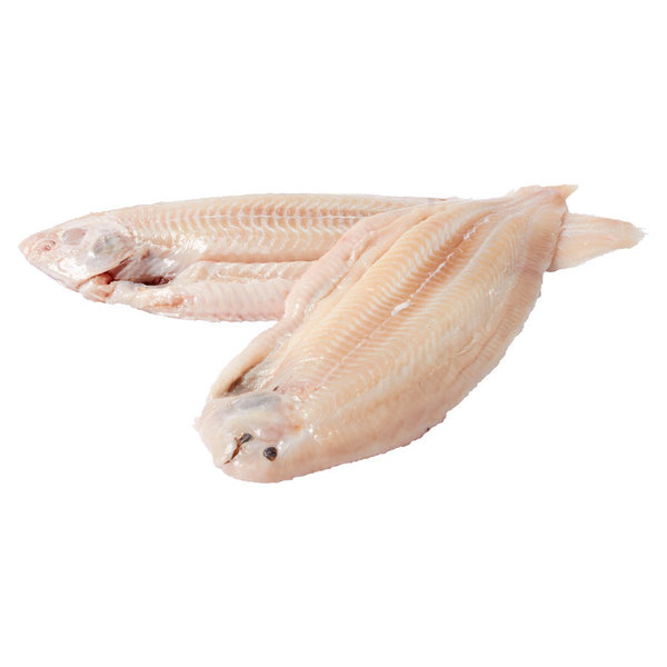 SLIPTONG GROOT 180/220GRAM - PER STUK