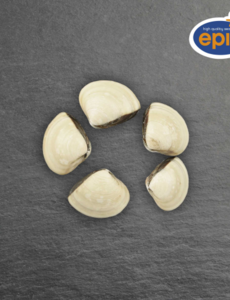  VENUSSCHELPEN GEKOOKT 40/60 - PER ZAK 1KG