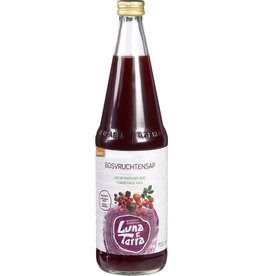 Fles bosvruchtensap BIO 70cl