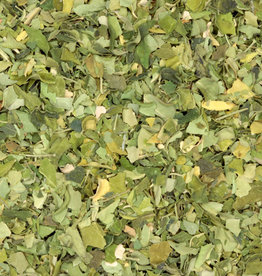 Moringa (bio)