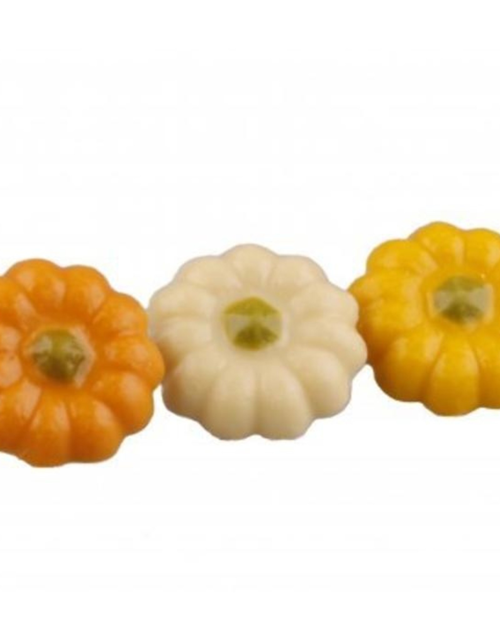 Pompoen chocolade