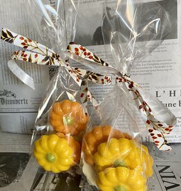 Pompoen chocolade