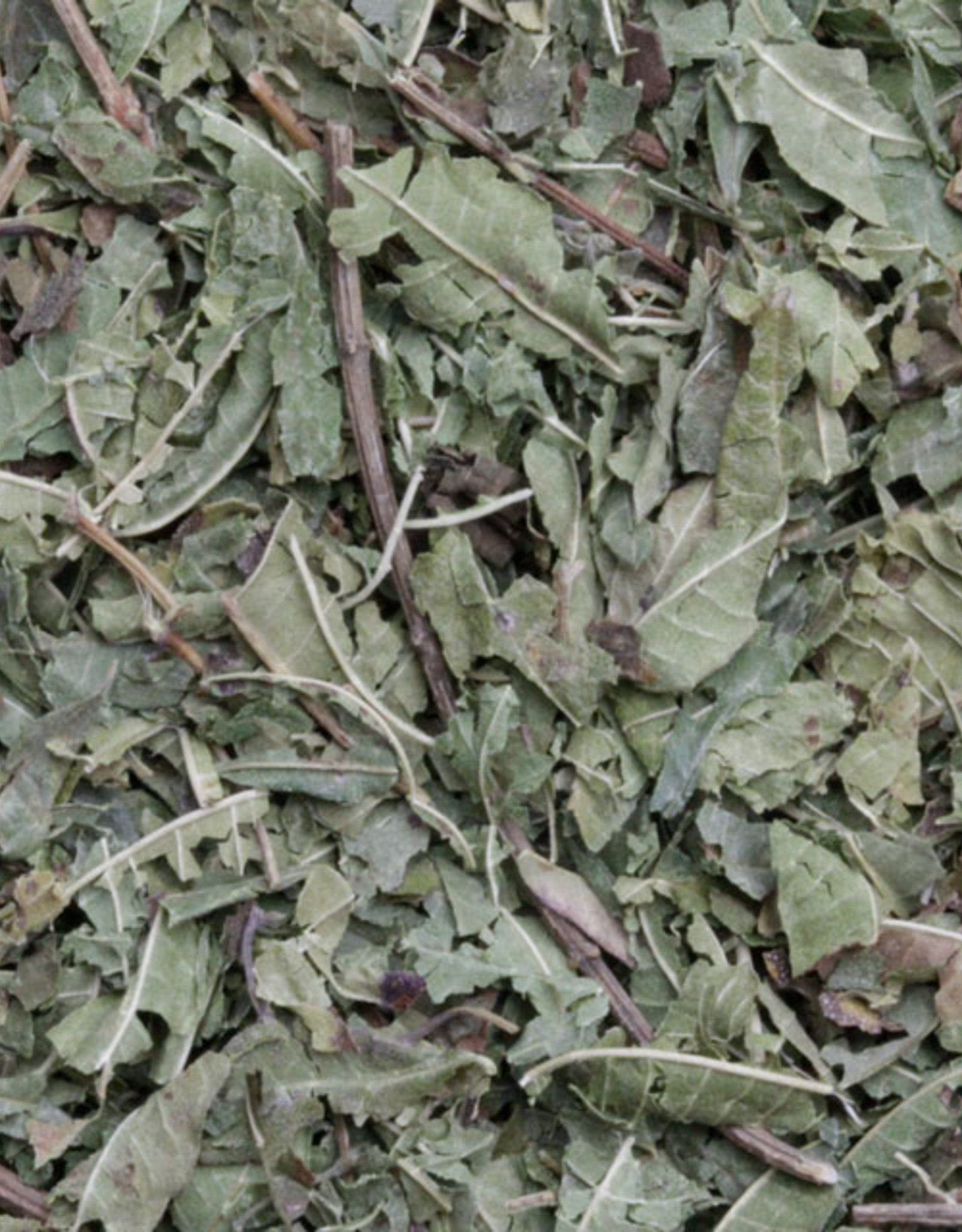 Verveine (bio)