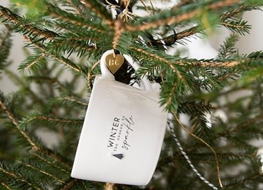 Cadeaus voor de feestdagen