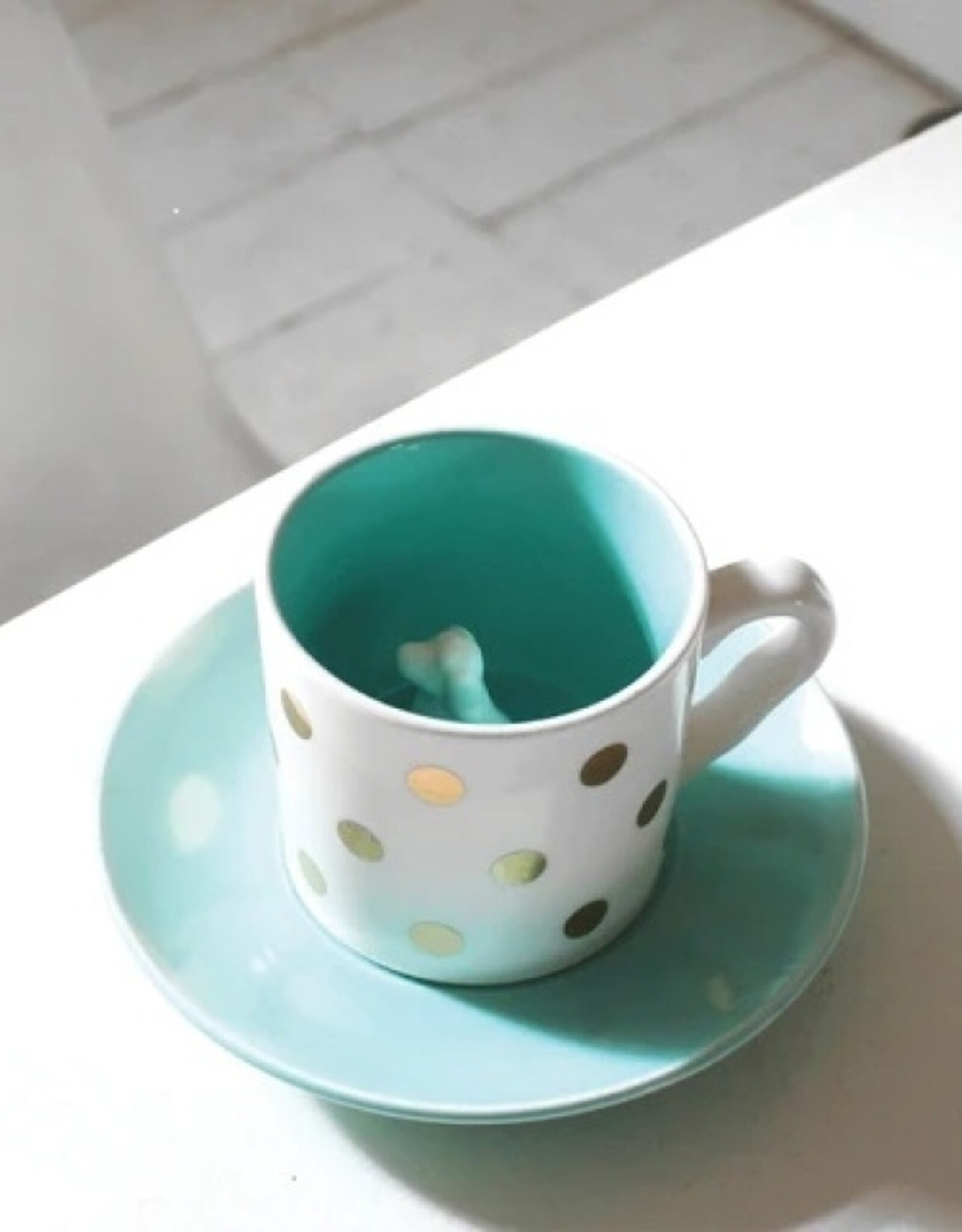 House of Disaster  Theekop Spotty dog