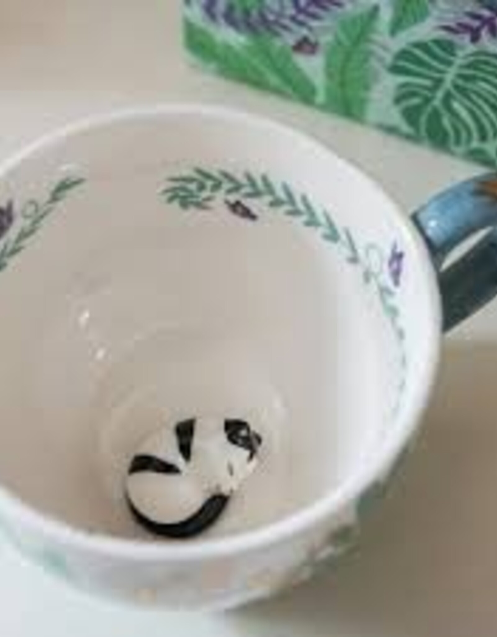 House of Disaster  Theekop Boulevard Cat