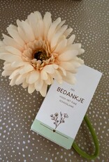 Voor de Juf - Een bloemetje