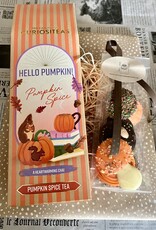 Herfstpakketje pumpkin spice en herfstchocolade