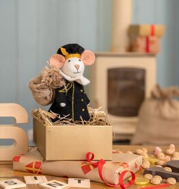 Sjaal met Verhaal Pietermuis Hoofdpiet
