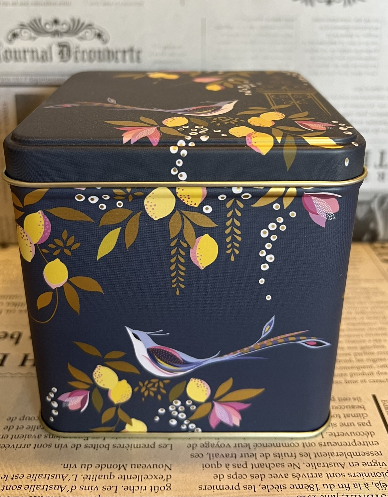 sara miller Theeblik groot Botanical -  Zwart