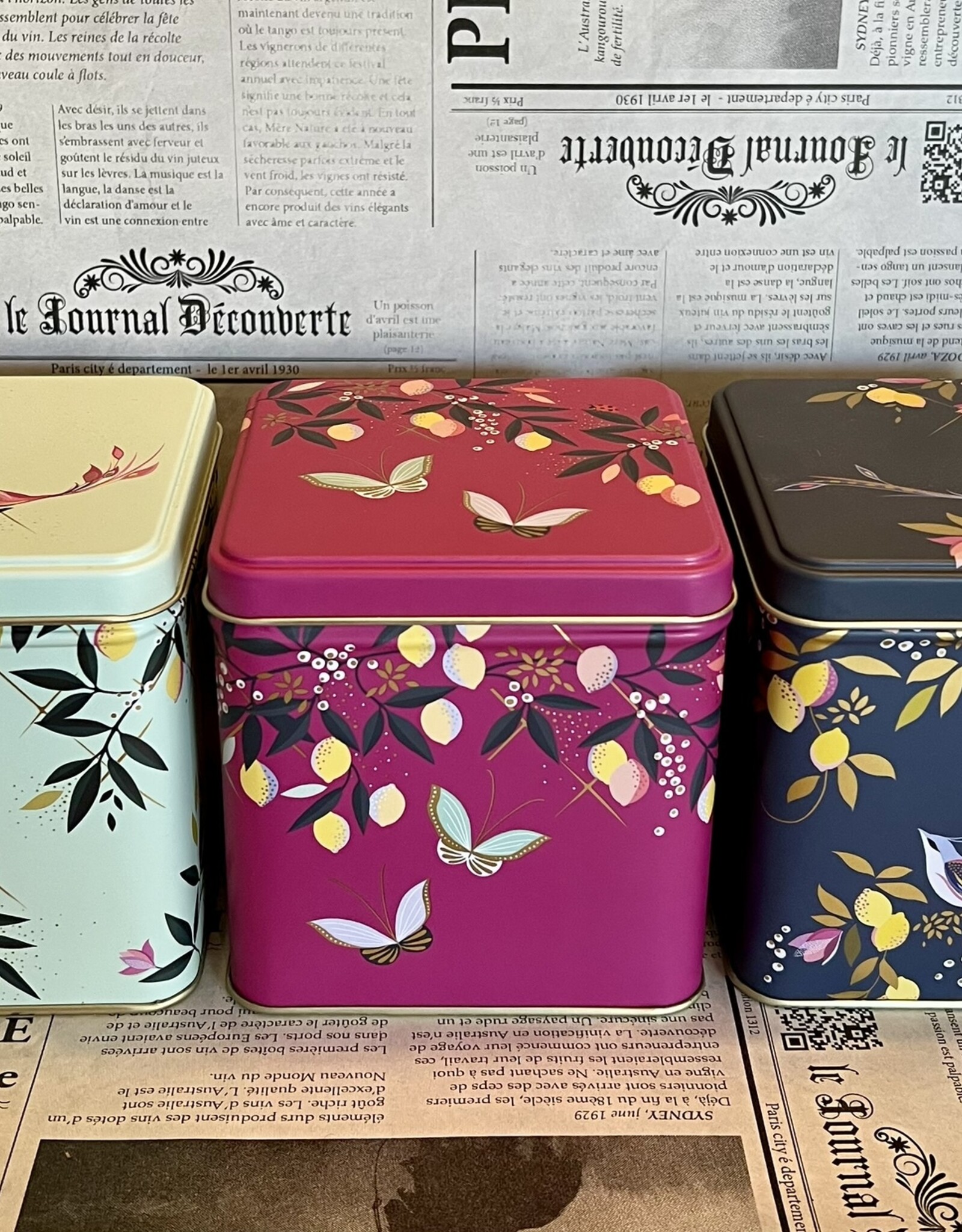 sara miller Theeblik groot Botanical -  Zwart