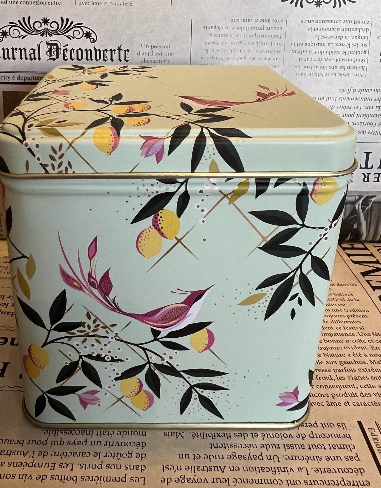 sara miller Theeblik groot Botanical - licht blauw