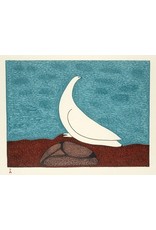 Cape Dorset Aqigirq  - Rock Ptarmigan